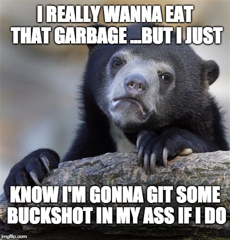 Confession Bear Meme | I REALLY WANNA EAT THAT GARBAGE ...BUT I JUST; KNOW I'M GONNA GIT SOME BUCKSHOT IN MY ASS IF I DO | image tagged in memes,confession bear | made w/ Imgflip meme maker