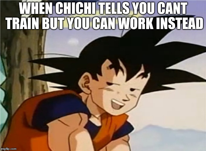 HA | WHEN CHICHI TELLS YOU CANT TRAIN BUT YOU CAN WORK INSTEAD | image tagged in goku,memes,funny memes | made w/ Imgflip meme maker