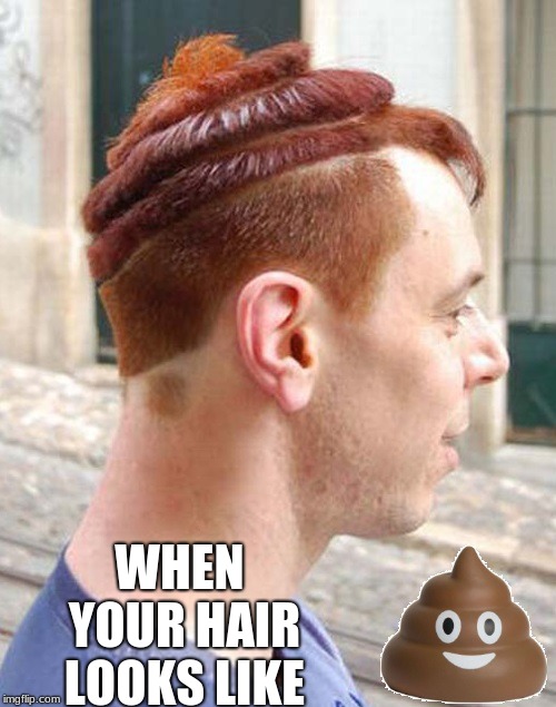 You're never going to have perfect hair people just let it shine. | WHEN YOUR HAIR LOOKS LIKE | image tagged in basd hair,deathmeme89 | made w/ Imgflip meme maker