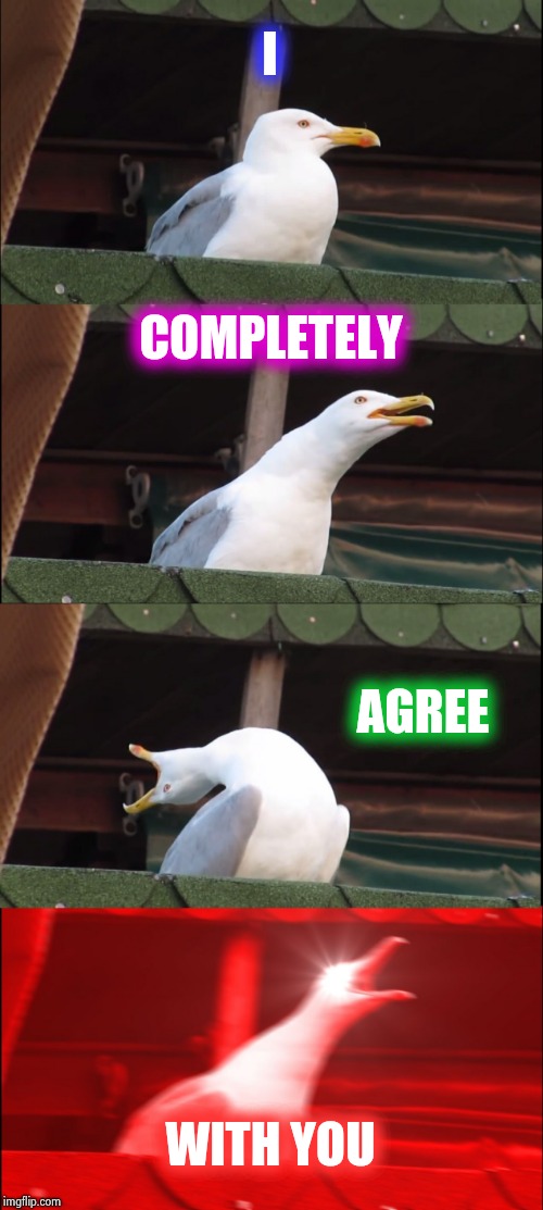 Inhaling Seagull Meme | I COMPLETELY AGREE WITH YOU | image tagged in memes,inhaling seagull | made w/ Imgflip meme maker