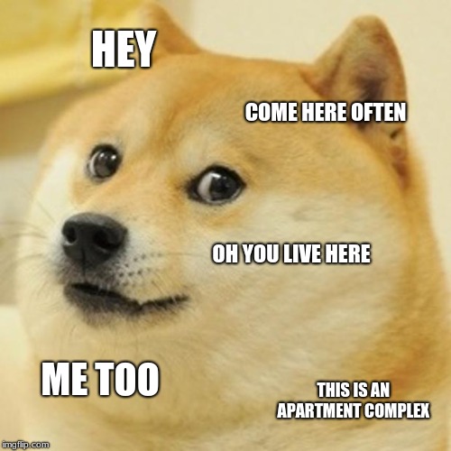 Doge Meme | HEY; COME HERE OFTEN; OH YOU LIVE HERE; ME TOO; THIS IS AN APARTMENT COMPLEX | image tagged in memes,doge | made w/ Imgflip meme maker