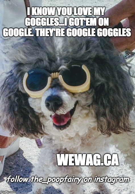I KNOW YOU LOVE MY GOGGLES...I GOT'EM ON GOOGLE. THEY'RE GOOGLE GOGGLES; WEWAG.CA; follow the_poopfairy on instagram | image tagged in wewag | made w/ Imgflip meme maker