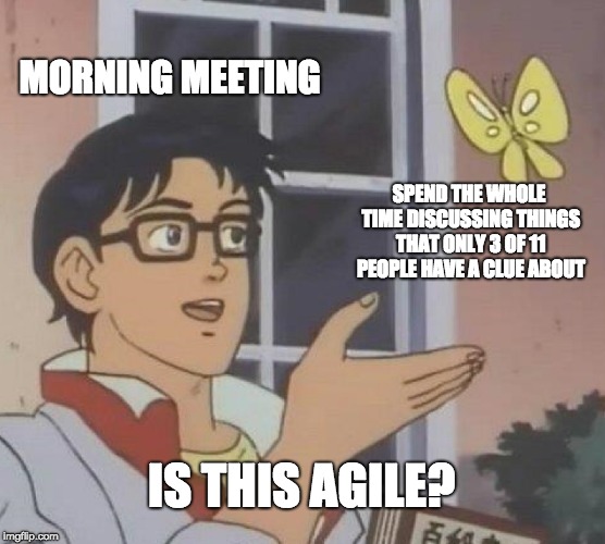 Is This A Pigeon | MORNING MEETING; SPEND THE WHOLE TIME DISCUSSING THINGS THAT ONLY 3 OF 11 PEOPLE HAVE A CLUE ABOUT; IS THIS AGILE? | image tagged in memes,is this a pigeon | made w/ Imgflip meme maker