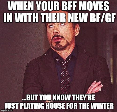 It's human nature | WHEN YOUR BFF MOVES IN WITH THEIR NEW BF/GF; ...BUT YOU KNOW THEY'RE JUST PLAYING HOUSE FOR THE WINTER | image tagged in robert downey jr annoyed | made w/ Imgflip meme maker