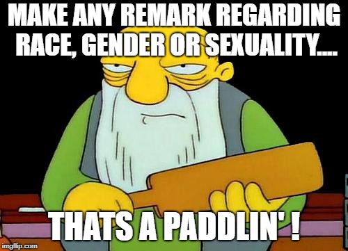 That's a paddlin' | MAKE ANY REMARK REGARDING RACE, GENDER OR SEXUALITY.... THATS A PADDLIN' ! | image tagged in memes,that's a paddlin' | made w/ Imgflip meme maker