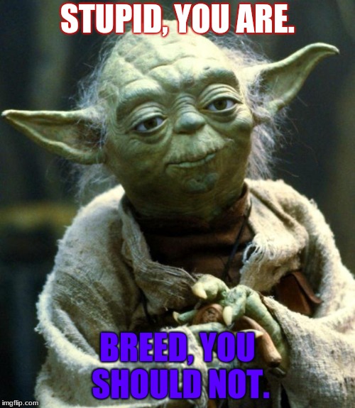 stupid cyka | STUPID, YOU ARE. BREED, YOU SHOULD NOT. | image tagged in memes,star wars yoda,cyka blyat,star wars,funny,stupid | made w/ Imgflip meme maker