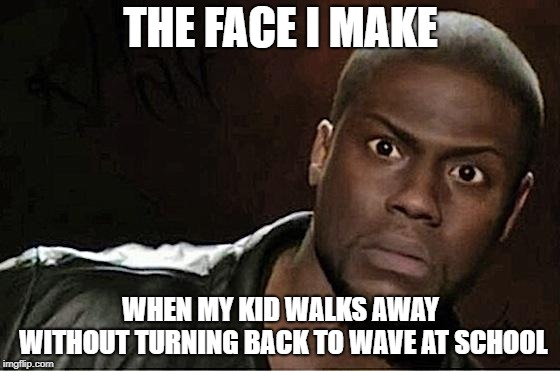Kevin Hart Meme | THE FACE I MAKE; WHEN MY KID WALKS AWAY WITHOUT TURNING BACK TO WAVE AT SCHOOL | image tagged in memes,kevin hart | made w/ Imgflip meme maker