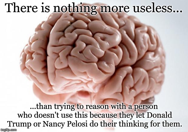 Scumbag Brain | There is nothing more useless... ...than trying to reason with a person who doesn't use this because they let Donald Trump or Nancy Pelosi do their thinking for them. | image tagged in scumbag brain | made w/ Imgflip meme maker
