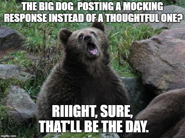 Sarcastic Bear | THE BIG DOG  POSTING A MOCKING RESPONSE INSTEAD OF A THOUGHTFUL ONE? RIIIGHT, SURE, THAT'LL BE THE DAY. | image tagged in sarcastic bear | made w/ Imgflip meme maker