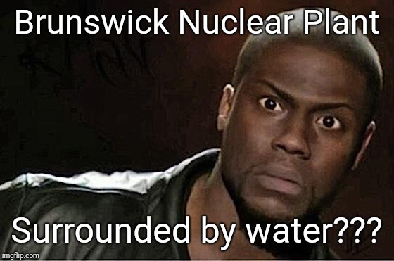 Everythings' fine | Brunswick Nuclear Plant; Surrounded by water??? | image tagged in memes,kevin hart,nuclear power,bullshit,justjeff,fukushima | made w/ Imgflip meme maker