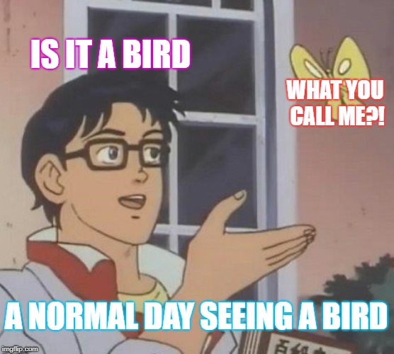 Is This A Pigeon | IS IT A BIRD; WHAT YOU CALL ME?! A NORMAL DAY SEEING A BIRD | image tagged in memes,is this a pigeon | made w/ Imgflip meme maker