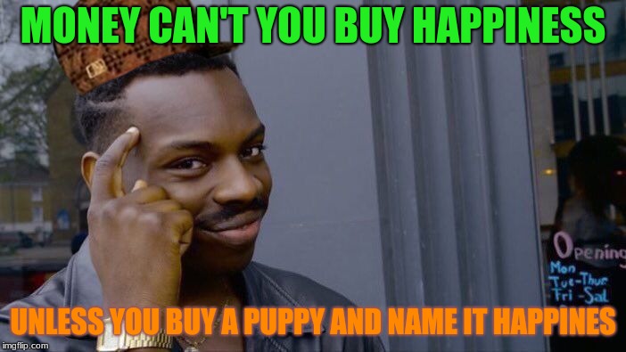 How To Buy Happiness: | MONEY CAN'T YOU BUY HAPPINESS; UNLESS YOU BUY A PUPPY AND NAME IT HAPPINES | image tagged in memes,roll safe think about it,scumbag,money,happiness | made w/ Imgflip meme maker