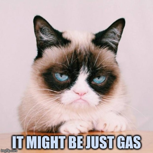 grumpy cat again | IT MIGHT BE JUST GAS | image tagged in grumpy cat again | made w/ Imgflip meme maker