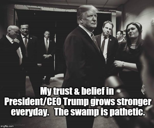 Trust Trump! | My trust & belief in President/CEO Trump grows stronger everyday. 
 The swamp is pathetic. | image tagged in donald trump,trump | made w/ Imgflip meme maker