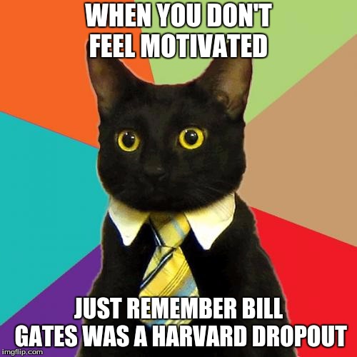 Business Cat | WHEN YOU DON'T FEEL MOTIVATED; JUST REMEMBER BILL GATES WAS A HARVARD DROPOUT | image tagged in memes,business cat | made w/ Imgflip meme maker