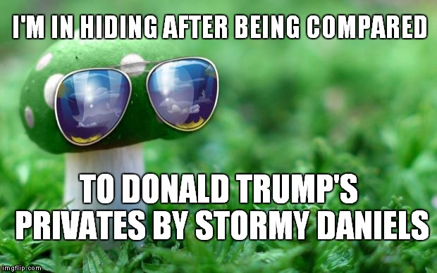 I'm Not Poisonous, So Why Is Stormy Daniels Comparing Me To Donald Trump? | I'M IN HIDING AFTER BEING COMPARED; TO DONALD TRUMP'S PRIVATES BY STORMY DANIELS | image tagged in deal with it mushroom | made w/ Imgflip meme maker
