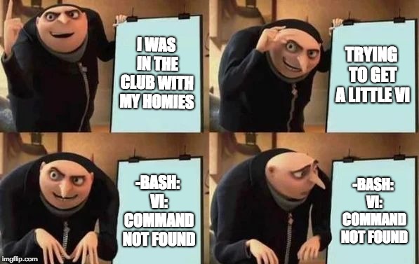 Gru doesn't like nano | I WAS IN THE CLUB WITH MY HOMIES; TRYING TO GET A LITTLE VI; -BASH: VI: COMMAND NOT FOUND; -BASH: VI: COMMAND NOT FOUND | image tagged in gru's plan,vi,vim,nixcraft,linux,nano | made w/ Imgflip meme maker