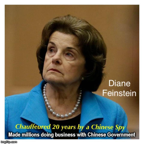 Diane Feinstein | Made millions doing business with Chinese Government | image tagged in diane feinstein | made w/ Imgflip meme maker