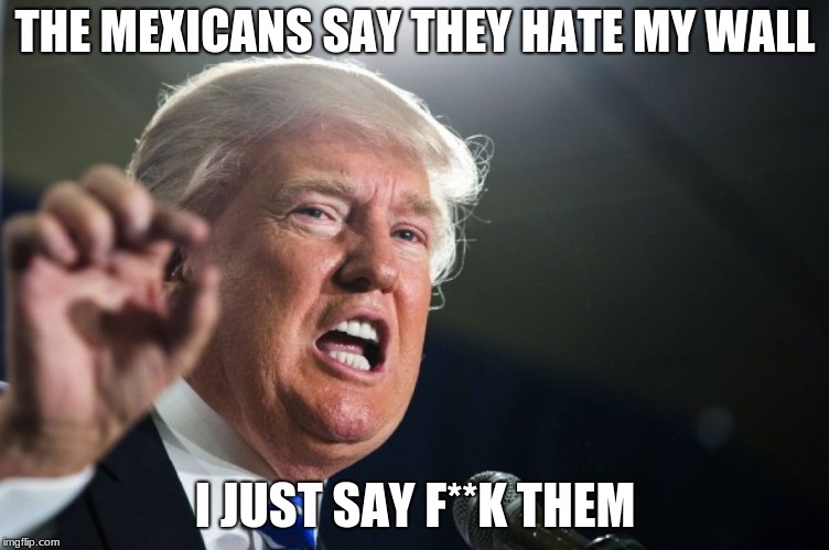 donald trump | THE MEXICANS SAY THEY HATE MY WALL; I JUST SAY F**K THEM | image tagged in donald trump | made w/ Imgflip meme maker