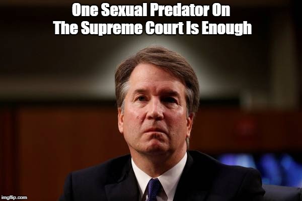 "One Sexual Predator On The Supreme Court Is Enough" | One Sexual Predator On The Supreme Court Is Enough | image tagged in brett kavanaugh,christine blasey ford,trump,supreme court | made w/ Imgflip meme maker