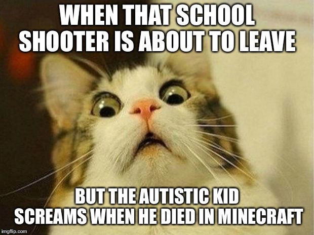 Scared Cat | WHEN THAT SCHOOL SHOOTER IS ABOUT TO LEAVE; BUT THE AUTISTIC KID SCREAMS WHEN HE DIED IN MINECRAFT | image tagged in memes,scared cat | made w/ Imgflip meme maker