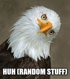 bald eagle tilt | HUH (RANDOM STUFF) | image tagged in bald eagle tilt | made w/ Imgflip meme maker