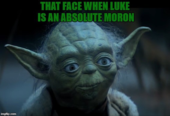 THAT FACE WHEN LUKE IS AN ABSOLUTE MORON | image tagged in yoda,star wars | made w/ Imgflip meme maker
