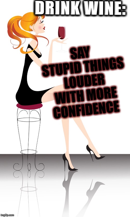 Girl with wine | SAY STUPID THINGS LOUDER WITH MORE CONFIDENCE; DRINK WINE: | image tagged in girl with wine | made w/ Imgflip meme maker