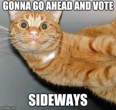 Up vote?  Down vote? Eh... | GONNA GO AHEAD AND VOTE; SIDEWAYS | image tagged in sideways happy cat | made w/ Imgflip meme maker