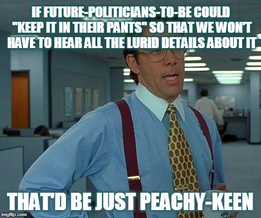 That Would Be Great Meme | IF FUTURE-POLITICIANS-TO-BE COULD "KEEP IT IN THEIR PANTS" SO THAT WE WON'T HAVE TO HEAR ALL THE LURID DETAILS ABOUT IT; THAT'D BE JUST PEACHY-KEEN | image tagged in memes,that would be great | made w/ Imgflip meme maker