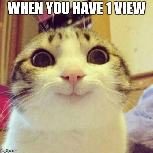 Smiling Cat Meme | WHEN YOU HAVE 1 VIEW | image tagged in memes,smiling cat | made w/ Imgflip meme maker