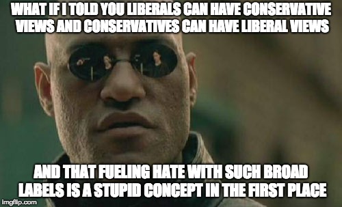 Matrix Morpheus Meme | WHAT IF I TOLD YOU LIBERALS CAN HAVE CONSERVATIVE VIEWS AND CONSERVATIVES CAN HAVE LIBERAL VIEWS; AND THAT FUELING HATE WITH SUCH BROAD LABELS IS A STUPID CONCEPT IN THE FIRST PLACE | image tagged in memes,matrix morpheus,AdviceAnimals | made w/ Imgflip meme maker