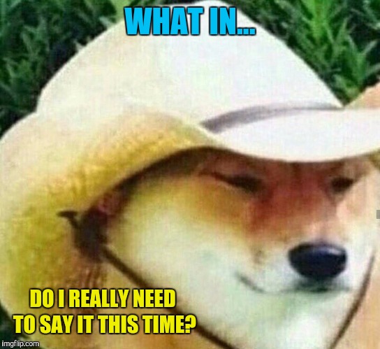 What in tarnation | WHAT IN... DO I REALLY NEED TO SAY IT THIS TIME? | image tagged in what in tarnation | made w/ Imgflip meme maker