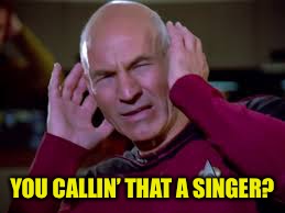 Captain Picard Covering Ears | YOU CALLIN’ THAT A SINGER? | image tagged in captain picard covering ears | made w/ Imgflip meme maker
