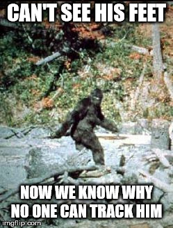 big foot | CAN'T SEE HIS FEET NOW WE KNOW WHY NO ONE CAN TRACK HIM | image tagged in big foot | made w/ Imgflip meme maker