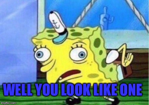 Mocking Spongebob Meme | WELL YOU LOOK LIKE ONE | image tagged in memes,mocking spongebob | made w/ Imgflip meme maker
