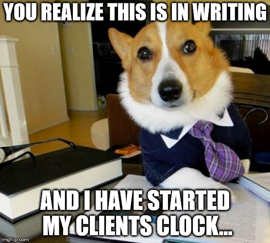 Lawyer Corgi Dog | YOU REALIZE THIS IS IN WRITING AND I HAVE STARTED MY CLIENTS CLOCK... | image tagged in lawyer corgi dog | made w/ Imgflip meme maker