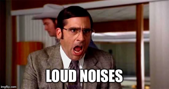 Loud Noises | LOUD NOISES | image tagged in loud noises | made w/ Imgflip meme maker