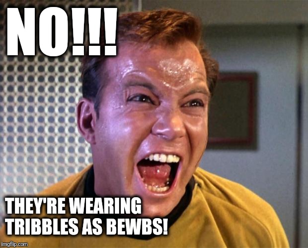 Captain Kirk Screaming | NO!!! THEY'RE WEARING TRIBBLES AS BEWBS! | image tagged in captain kirk screaming | made w/ Imgflip meme maker