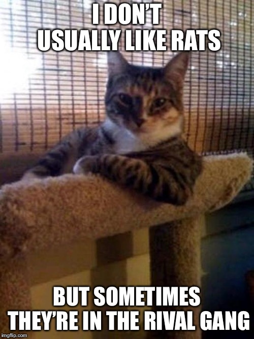 The Most Interesting Cat In The World Meme | I DON’T USUALLY LIKE RATS; BUT SOMETIMES THEY’RE IN THE RIVAL GANG | image tagged in memes,the most interesting cat in the world,hey there,boi,why hello there,lolcats | made w/ Imgflip meme maker