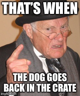 Back In My Day Meme | THAT’S WHEN THE DOG GOES BACK IN THE CRATE | image tagged in memes,back in my day | made w/ Imgflip meme maker