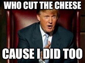 Donald Trump | WHO CUT THE CHEESE; CAUSE I DID TOO | image tagged in donald trump | made w/ Imgflip meme maker