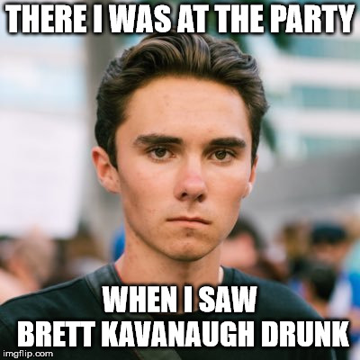 David Hogg | THERE I WAS AT THE PARTY; WHEN I SAW BRETT KAVANAUGH DRUNK | image tagged in david hogg | made w/ Imgflip meme maker