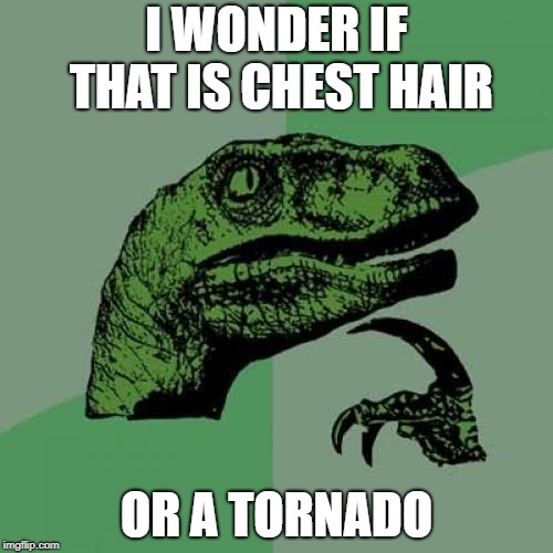 Philosoraptor Meme | I WONDER IF THAT IS CHEST HAIR; OR A TORNADO | image tagged in memes,philosoraptor | made w/ Imgflip meme maker