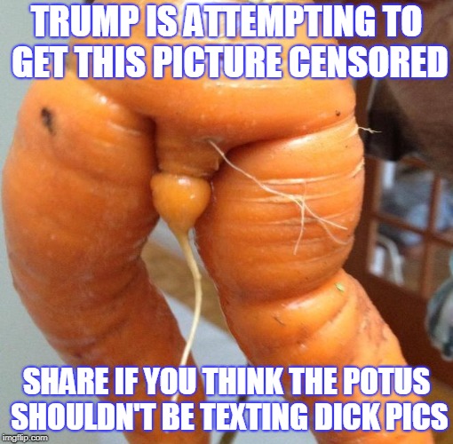 Trump Dick Pic | TRUMP IS ATTEMPTING TO GET THIS PICTURE CENSORED; SHARE IF YOU THINK THE POTUS SHOULDN'T BE TEXTING DICK PICS | image tagged in donald trump | made w/ Imgflip meme maker