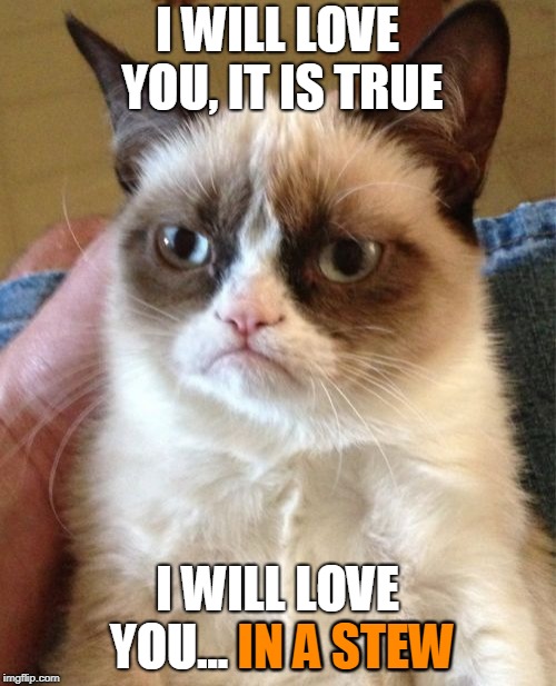 Grumpy Cat Meme | I WILL LOVE YOU, IT IS TRUE I WILL LOVE YOU... IN A STEW IN A STEW | image tagged in memes,grumpy cat | made w/ Imgflip meme maker