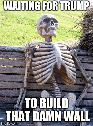 Waiting Skeleton Meme | WAITING FOR TRUMP; TO BUILD THAT DAMN WALL | image tagged in memes,waiting skeleton | made w/ Imgflip meme maker