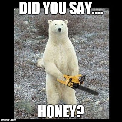 Chainsaw Bear Meme | DID YOU SAY.... HONEY? | image tagged in memes,chainsaw bear | made w/ Imgflip meme maker