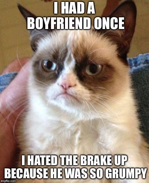 Grumpy Cat Meme | I HAD A BOYFRIEND ONCE; I HATED THE BRAKE UP BECAUSE HE WAS SO GRUMPY | image tagged in memes,grumpy cat | made w/ Imgflip meme maker