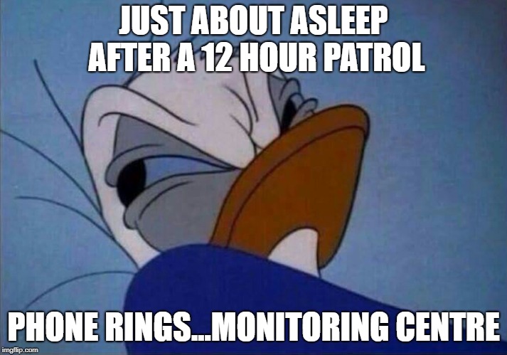 angry donald duck  | JUST ABOUT ASLEEP AFTER A 12 HOUR PATROL; PHONE RINGS...MONITORING CENTRE | image tagged in angry donald duck | made w/ Imgflip meme maker